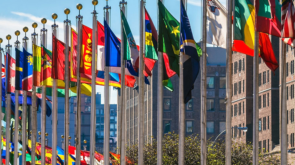 CCl Design Chippenham